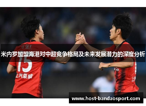 米内罗加盟海港对中超竞争格局及未来发展潜力的深度分析