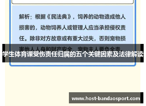 学生体育课受伤责任归属的五个关键因素及法律解读