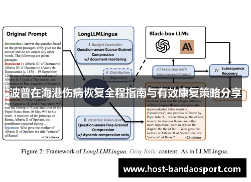 波普在海港伤病恢复全程指南与有效康复策略分享